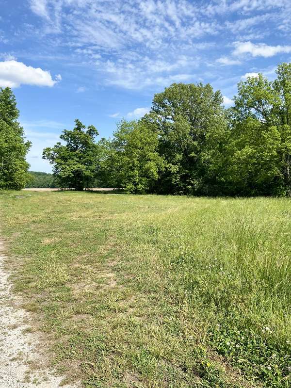 0 Independence Loop, Lexington, TN 38351