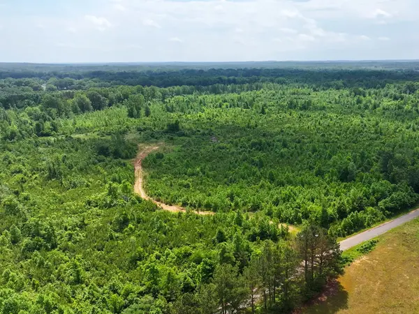 0 Hwy 22A #S, Enville, TN 38332