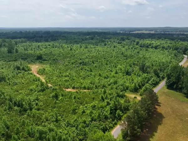 0 Hwy 22A #S, Enville, TN 38332