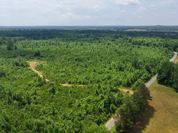 0 Hwy 22A #S, Enville, TN 38332
