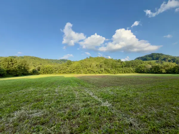 0 Hurricane Creek Rd, Woodbury, TN 37190