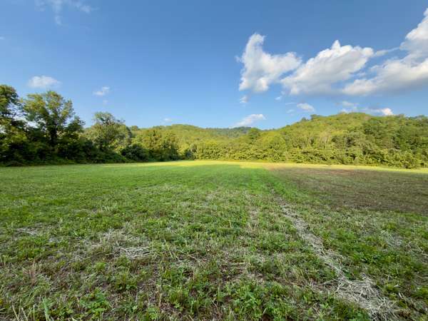 0 Hurricane Creek Rd, Woodbury, TN 37190