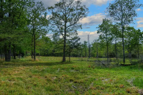 607 Monteagle Falls Rd, Monteagle, TN 37356
