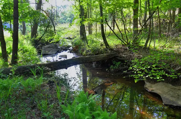 607 Monteagle Falls Rd, Monteagle, TN 37356