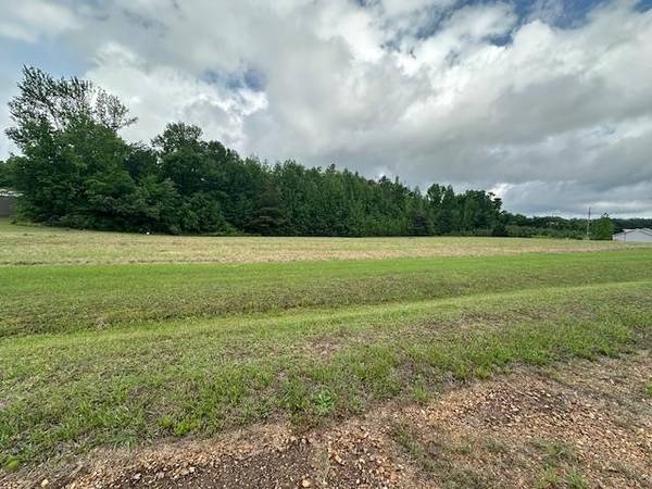 0 PEAR BLOSSOM LN, Adamsville, TN 38310