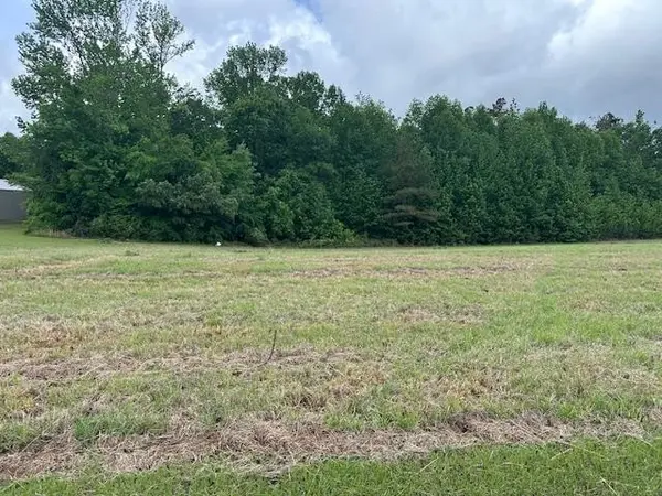 0 PEAR BLOSSOM LN, Adamsville, TN 38310