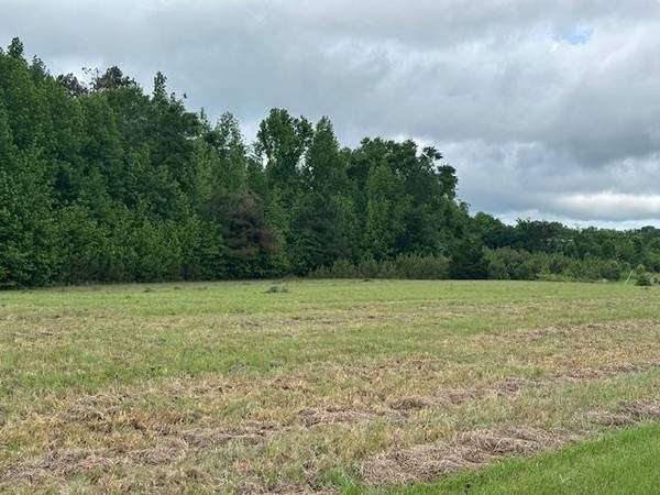 0 PEAR BLOSSOM LN, Adamsville, TN 38310