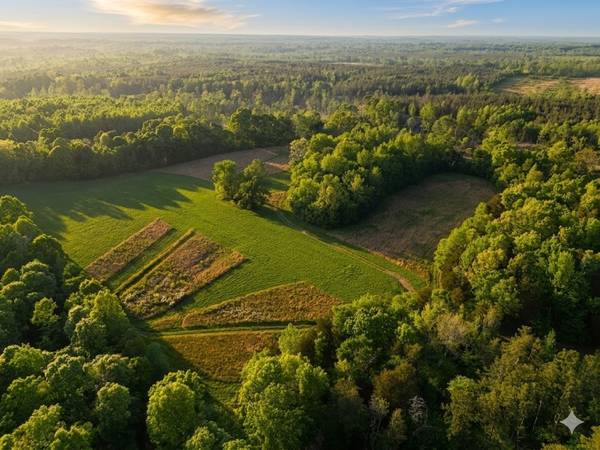 0 Upper Standing Rock Road, Dover, TN 37058