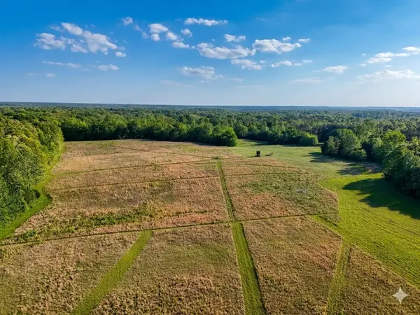 0 Upper Standing Rock Road, Dover, TN 37058
