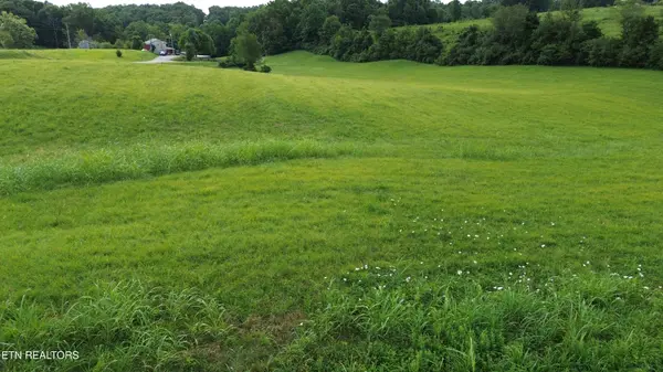 85 Flowers Rd, Monroe, TN 38573