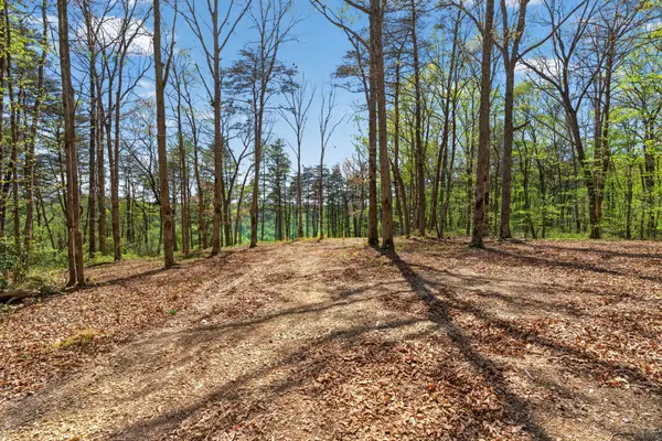 2076 Timberwood Trace, Monteagle, TN 37356