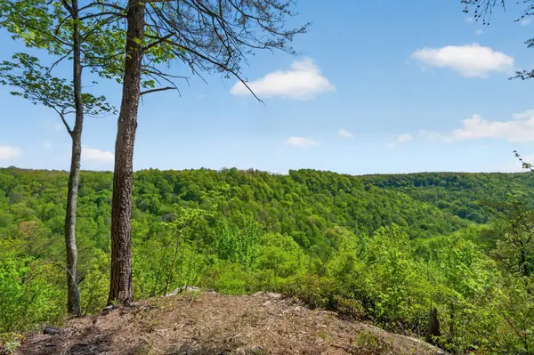 2076 Timberwood Trace Lots 317&318, Monteagle, TN 37356