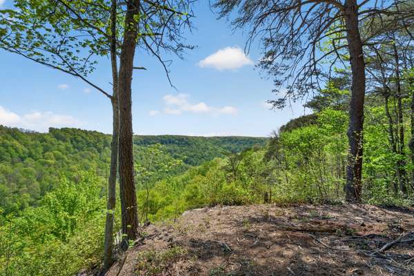 2076 Timberwood Trace, Monteagle, TN 37356