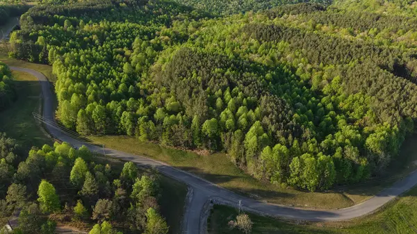 0 Thunder Ridge Drive, South Pittsburg, TN 37380