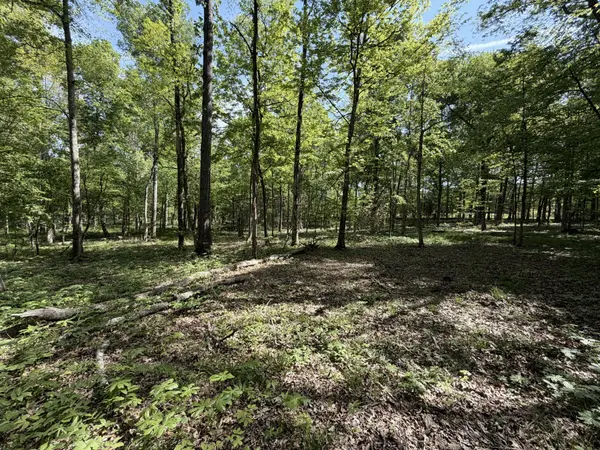 0 Millersburg Road, Christiana, TN 37037