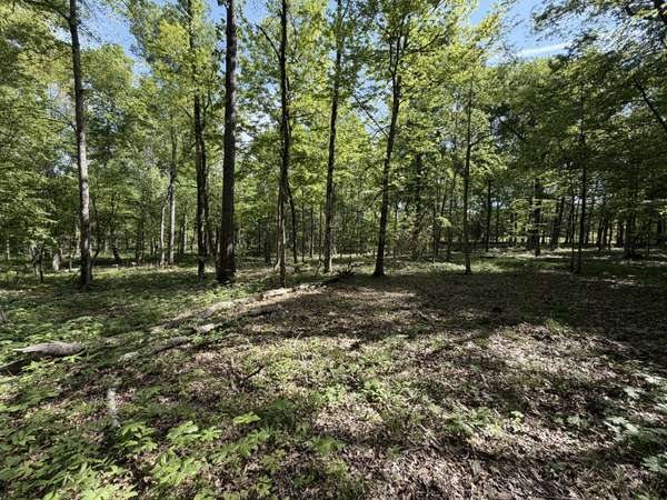 0 Millersburg Road, Christiana, TN 37037