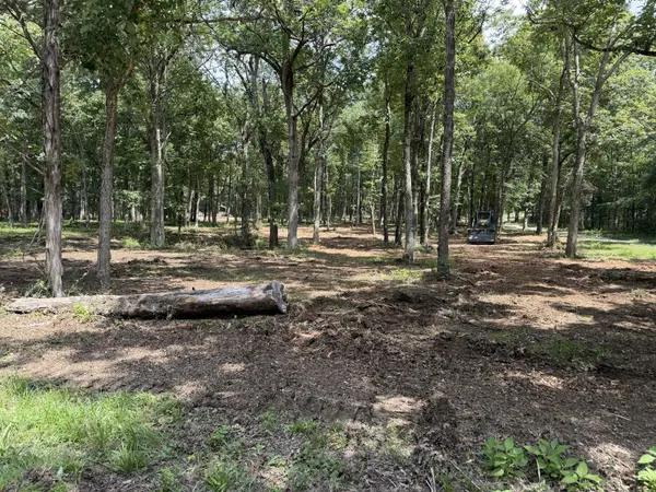 0 Millersburg Road, Christiana, TN 37037