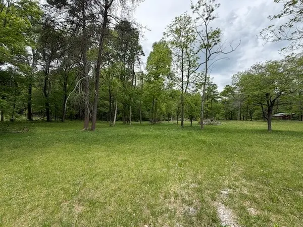 0 Cathy Ridge rd, Manchester, TN 37355