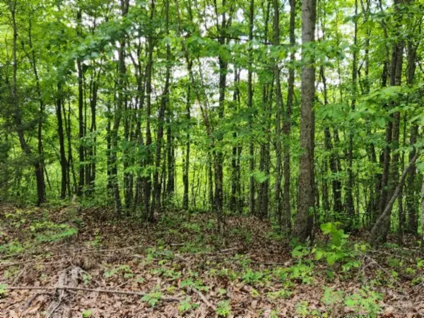 0 Froest Trails, Celina, TN 38551