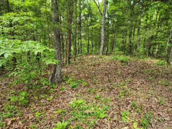 0 Froest Trails, Celina, TN 38551