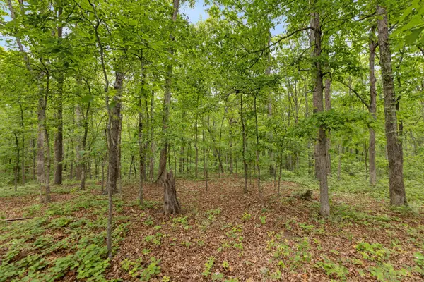 0 Old Number One Rd, Dickson, TN 37055