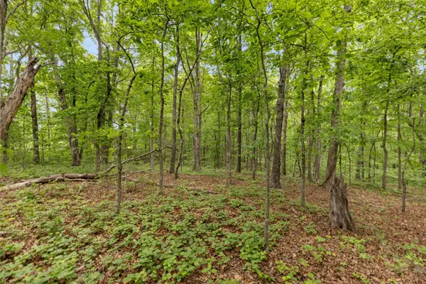 0 Old Number One Rd, Dickson, TN 37055
