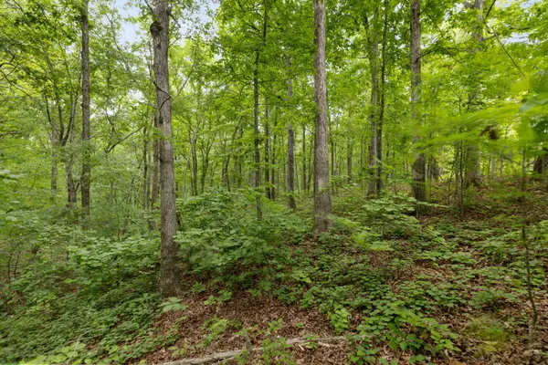 0 Old Number One Rd, Dickson, TN 37055