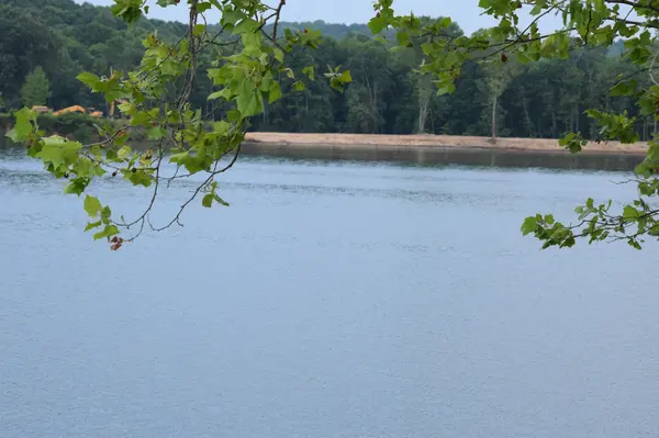 279 Hardin Bottom River Road, Clifton, TN 38425