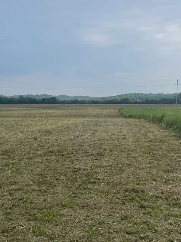 269 Hardin Bottom River Road, Clifton, TN 38425