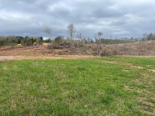 13649 Eldridge Road, Birchwood, TN 37308