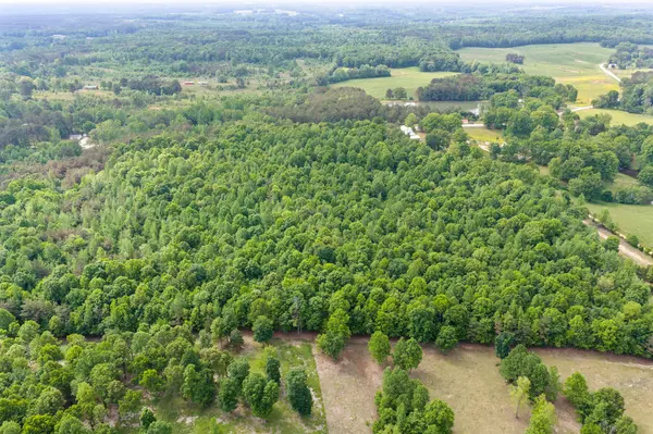 0 Highway 200, Lexington, TN 38351