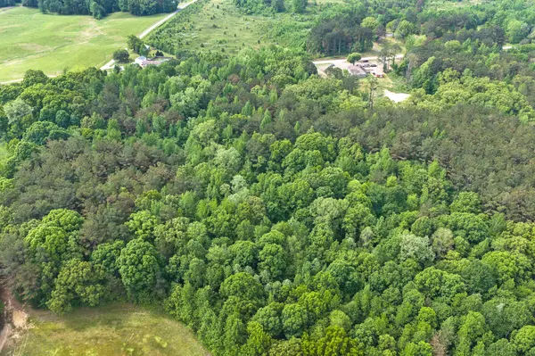 0 Highway 200, Lexington, TN 38351