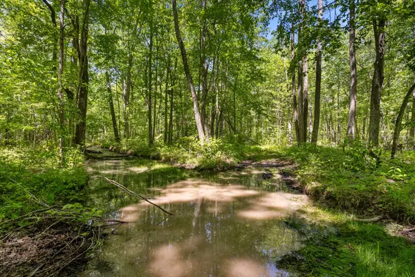 220 Gitty Up Ln, Bradyville, TN 37026