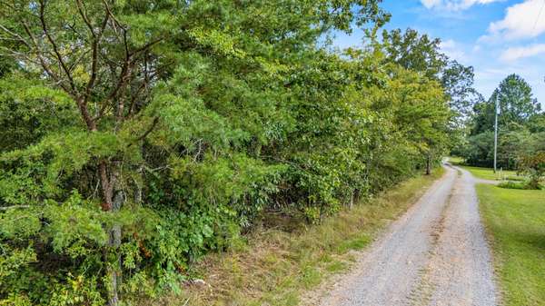 0 Rock Creek Road, Trenton, GA 30752