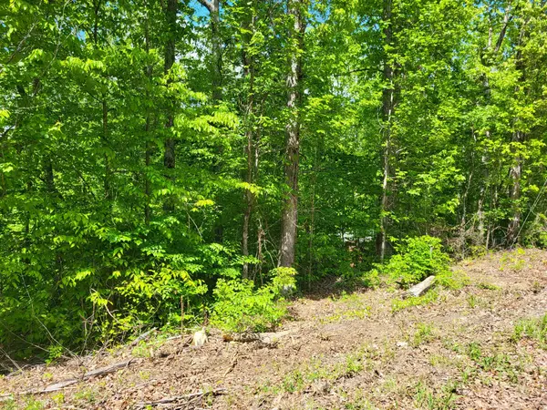 0A Red Ash Rd, Sugar Tree, TN 38380