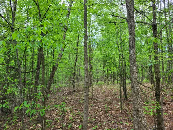 0A Red Ash Rd, Sugar Tree, TN 38380