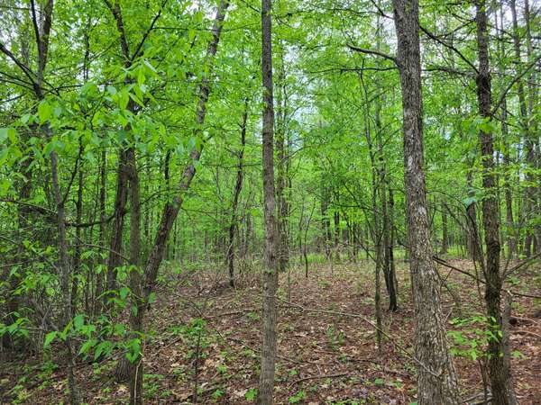 0A Red Ash Rd, Sugar Tree, TN 38380