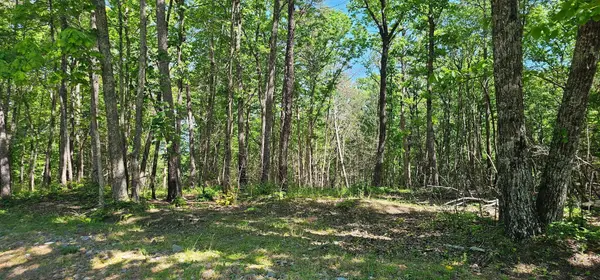 0 Bluffview Dr, Dunlap, TN 37327