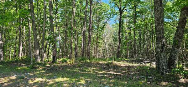 0 Bluffview Dr, Dunlap, TN 37327