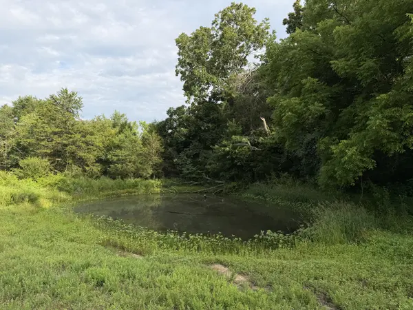 2370 Patton Hollow Rd, Watertown, TN 37184