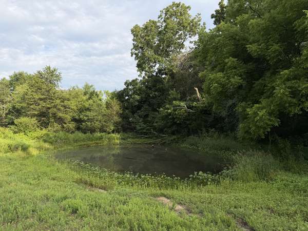 2370 Patton Hollow Rd, Watertown, TN 37184