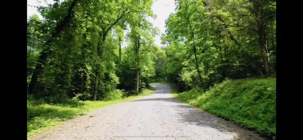 0 Cypress Drive, Spring City, TN 37381
