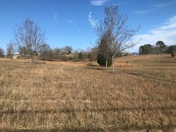 16697 N Star Circle, Sale Creek, TN 37373
