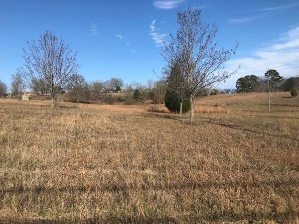 16697 N Star Circle, Sale Creek, TN 37373