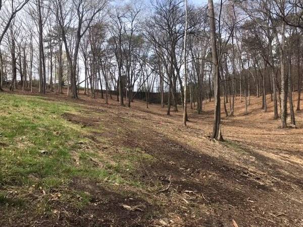 0 Tell Street, Athens, TN 37303