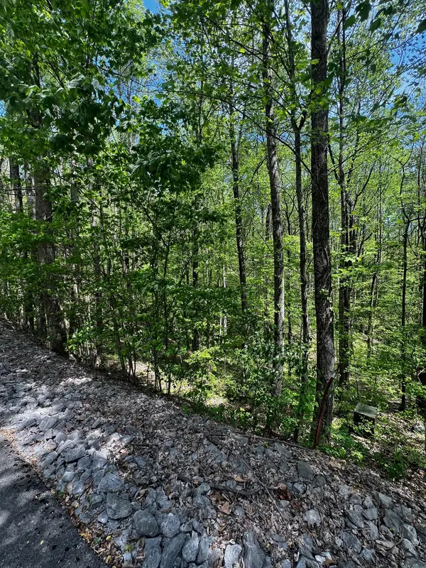 0 Lola Dr, Smithville, TN 37166