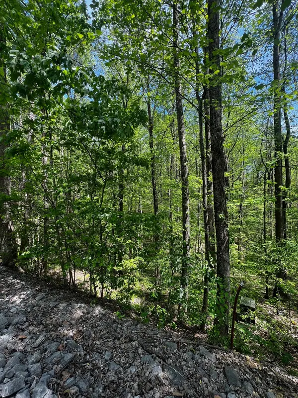 0 Lola Dr, Smithville, TN 37166
