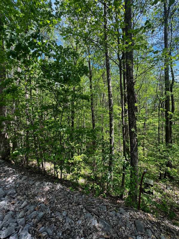 0 Lola Dr, Smithville, TN 37166