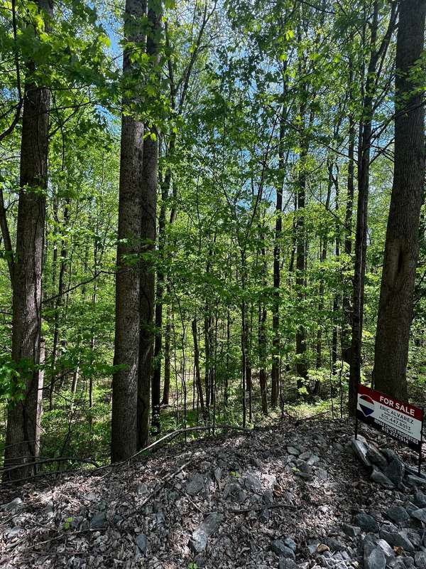 0 Lola Dr, Smithville, TN 37166