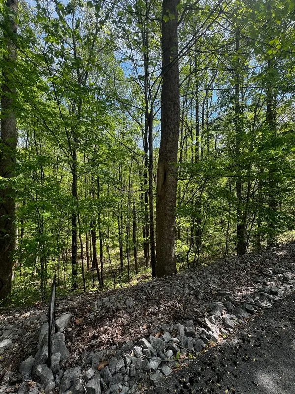 0 Lola Dr, Smithville, TN 37166